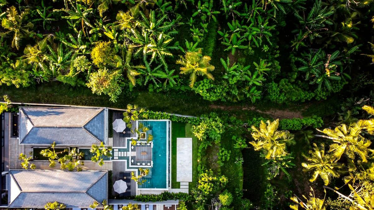 4 Bedroom Pool Villa surrounded by lush jungle