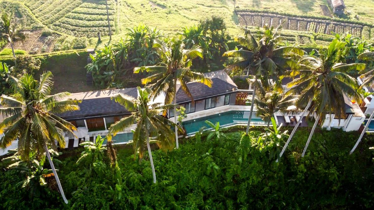 Drone view of the villa and its jungle surroundings 