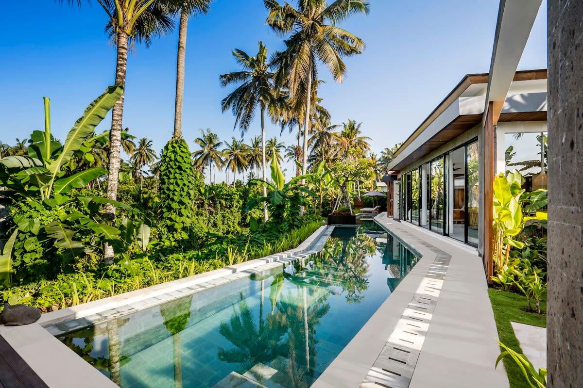 Side view of the pool and tropical background 