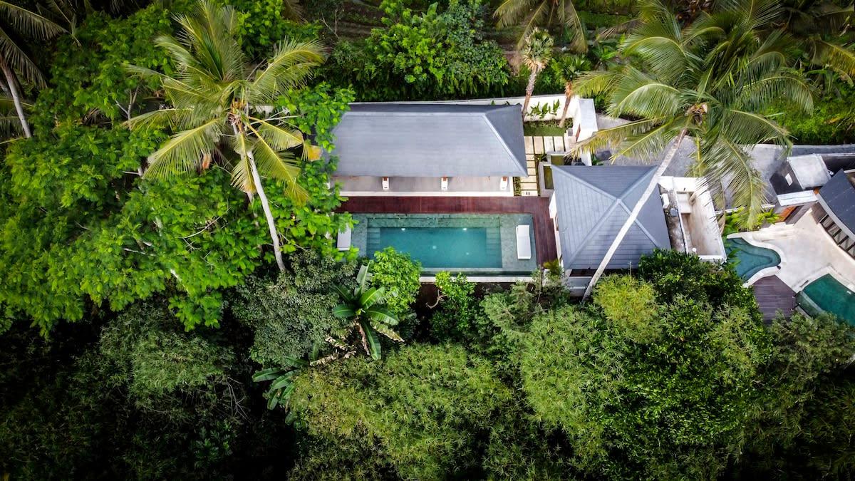 Drone view of the property and its jungle surrounding