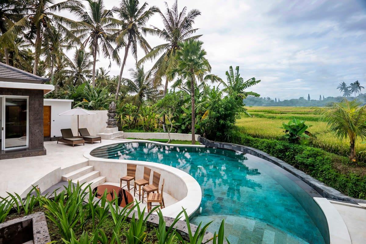 panorama of the pool and nature surroundings