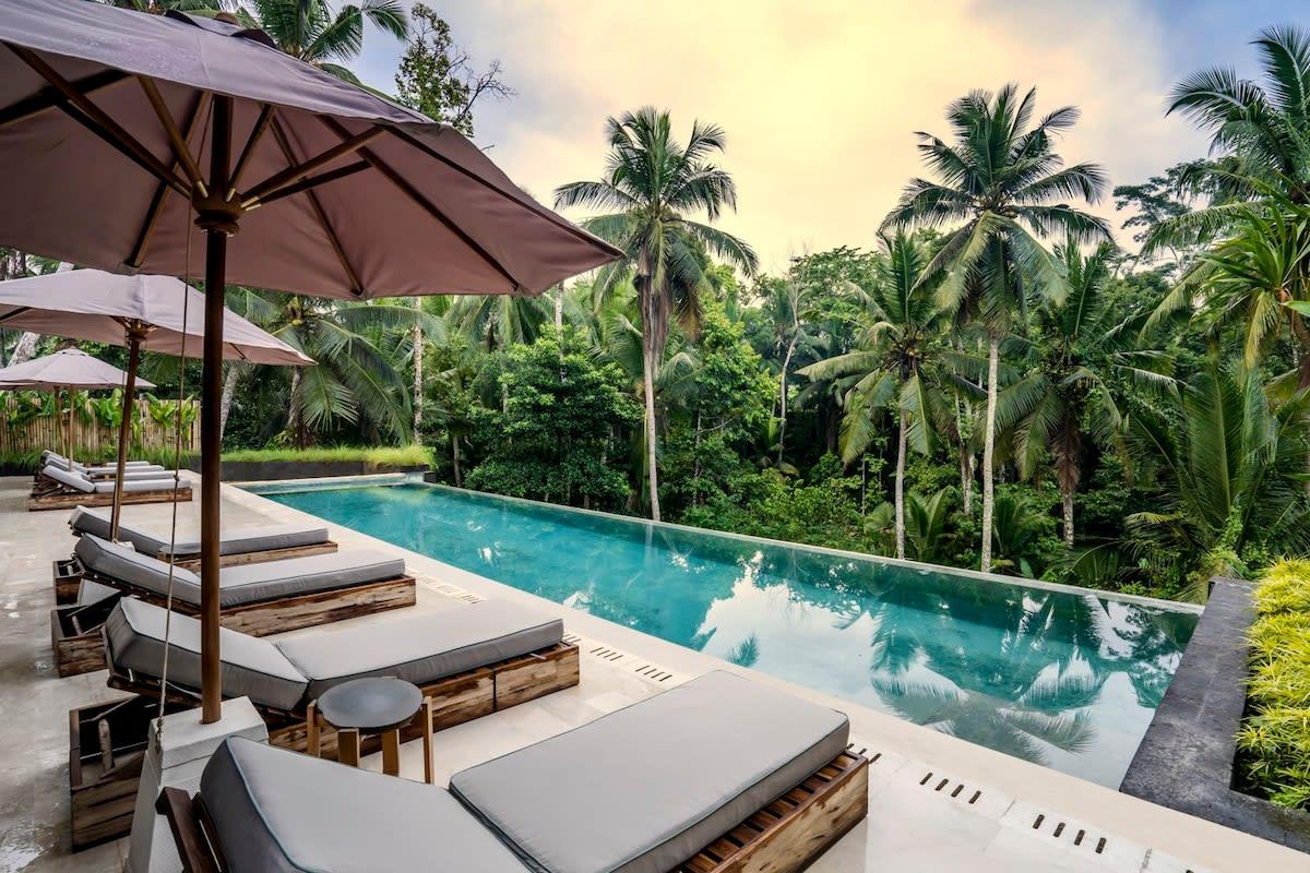 View of the lounging and pool area in front of the Ubud jungle 