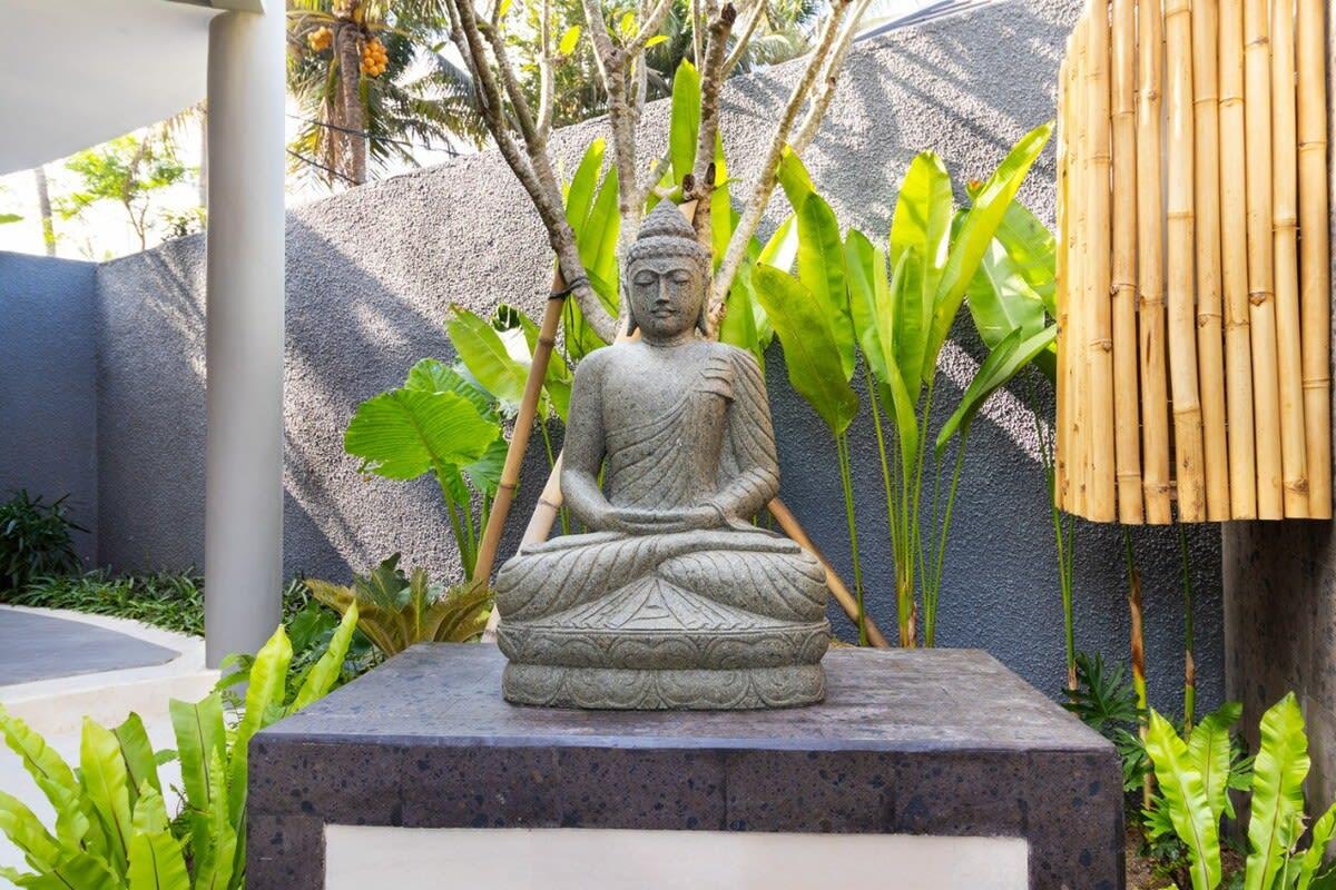 Buddha statue surrounded by greenery