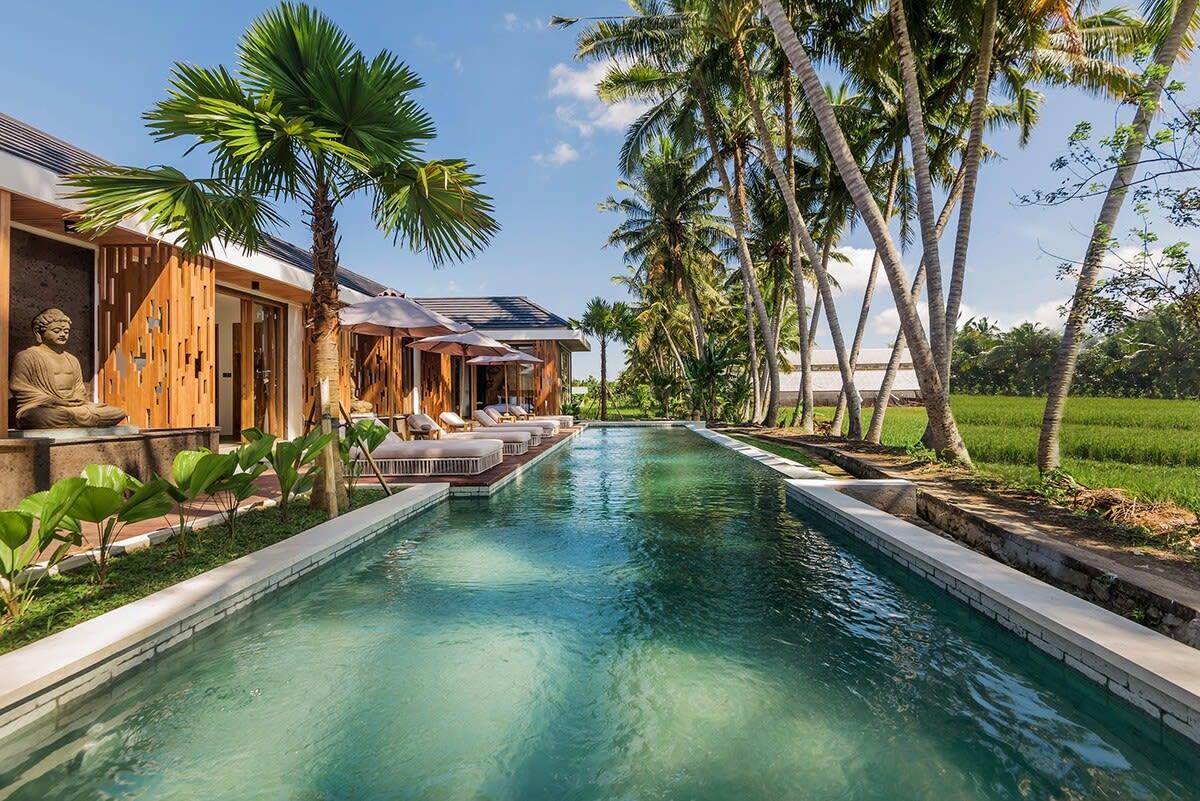 Pool with Ricefield View