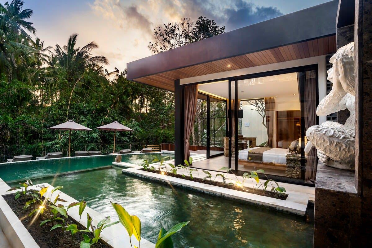 View of the infinity pool with the jungle background