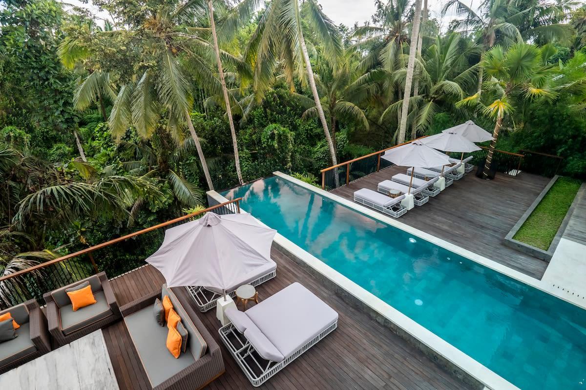 Amazing infinity pool with a green nature view