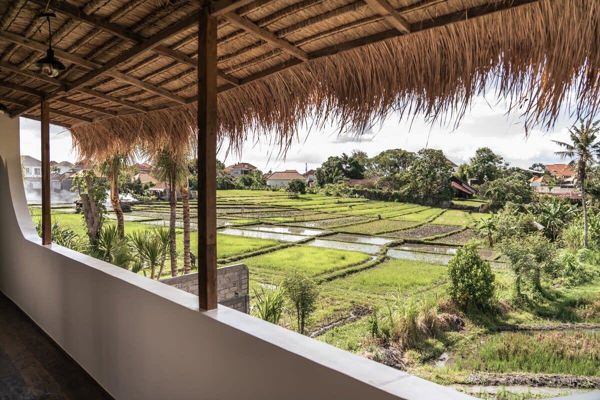 Amazing view on the rice fields