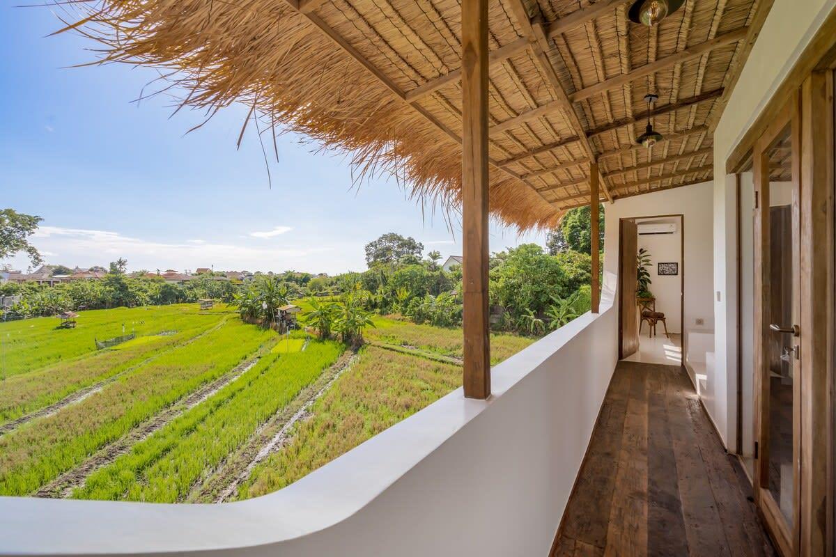 Stunning view on the rice fields