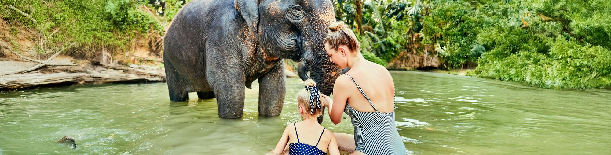 Adventure-&-Elephant-Park