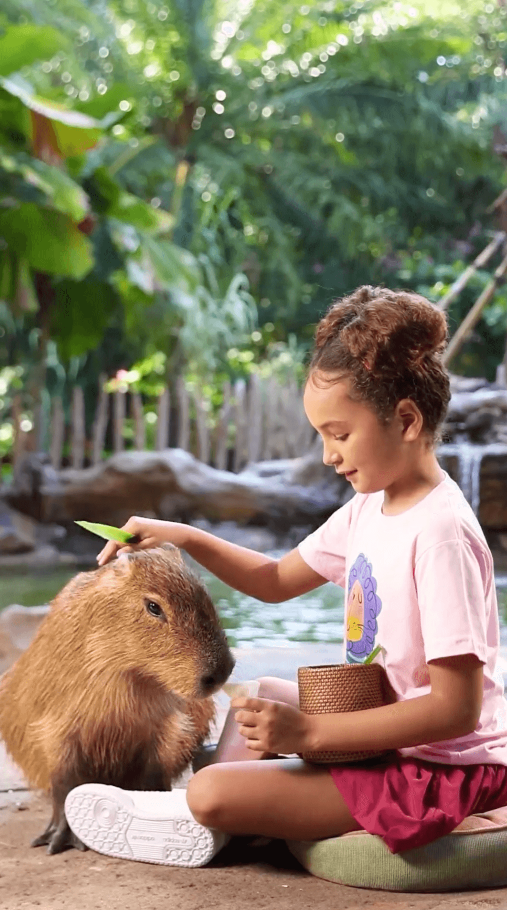 capybara lunch4