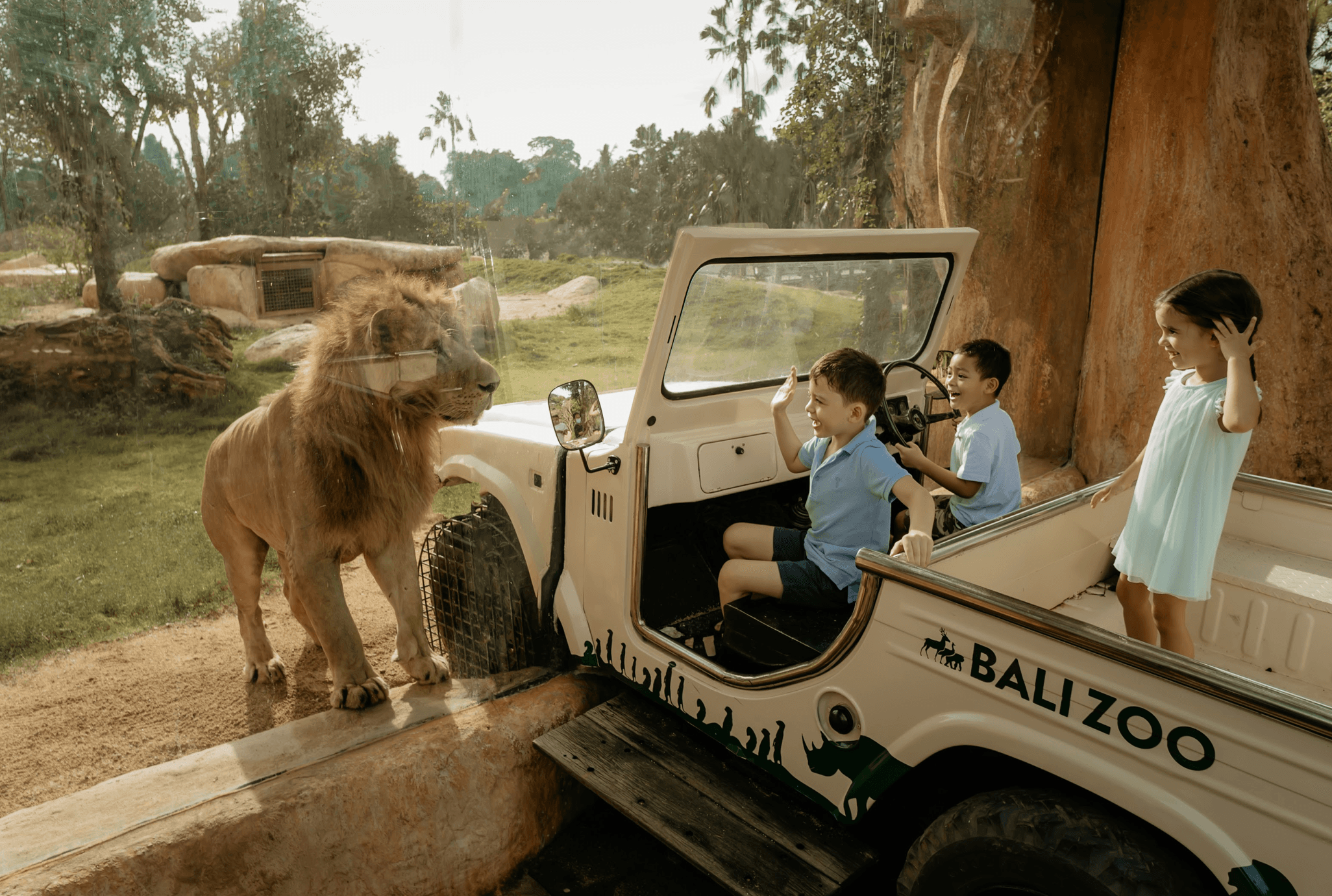 zoo safari
