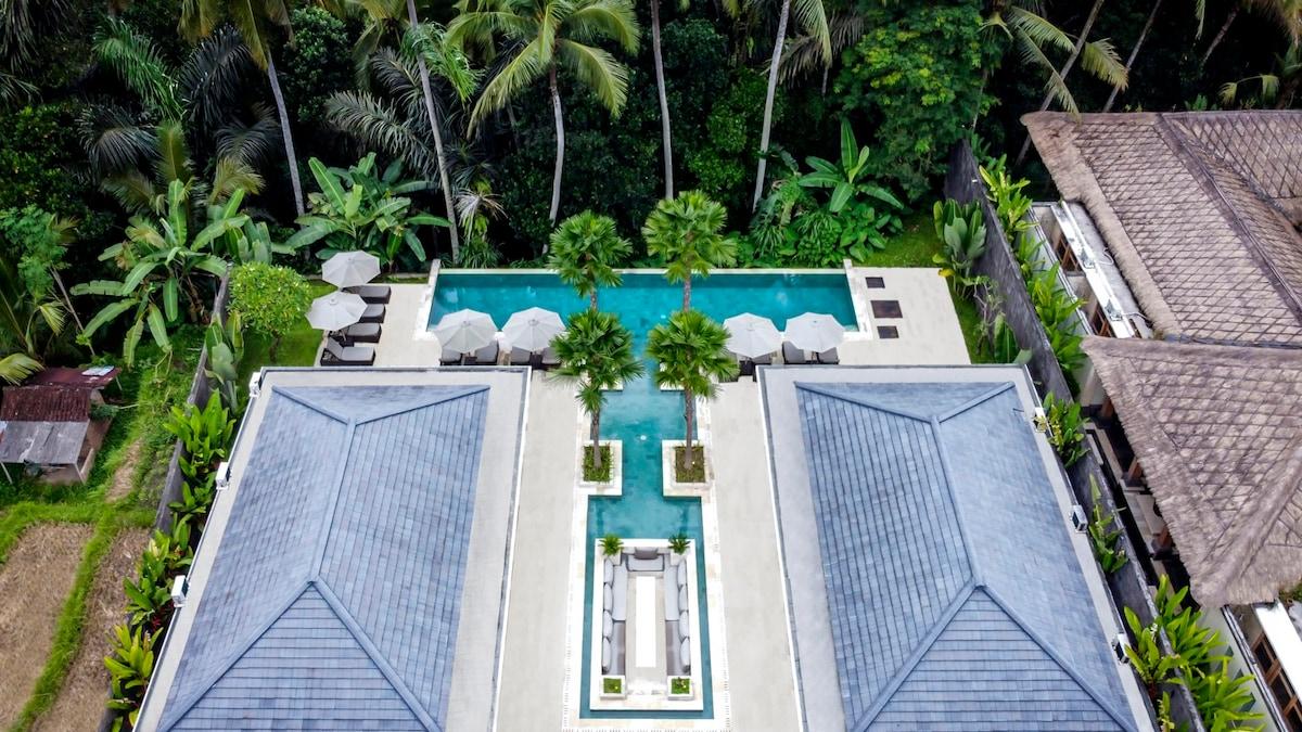 Drone panorama of the villa’s jungle surroundings 