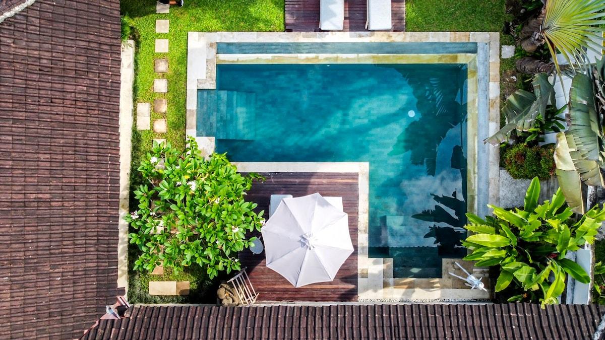 Drone view of the villa’s pool