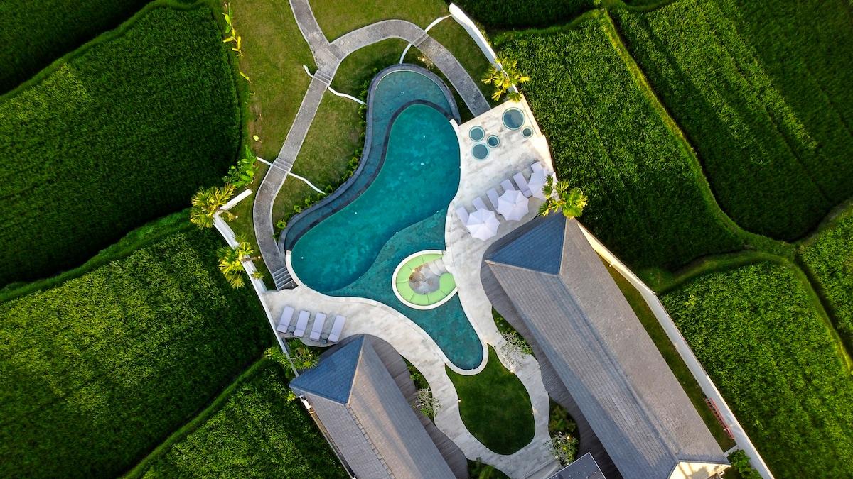 Drone view of the villa and its rice field surroundings 