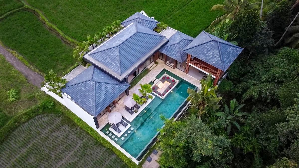 Drone view of the villa and its natural surroundings 