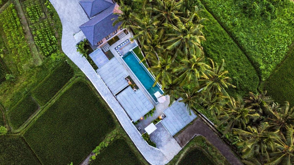 Unique 3 bedroom villa with traditional and surrounded by nature!