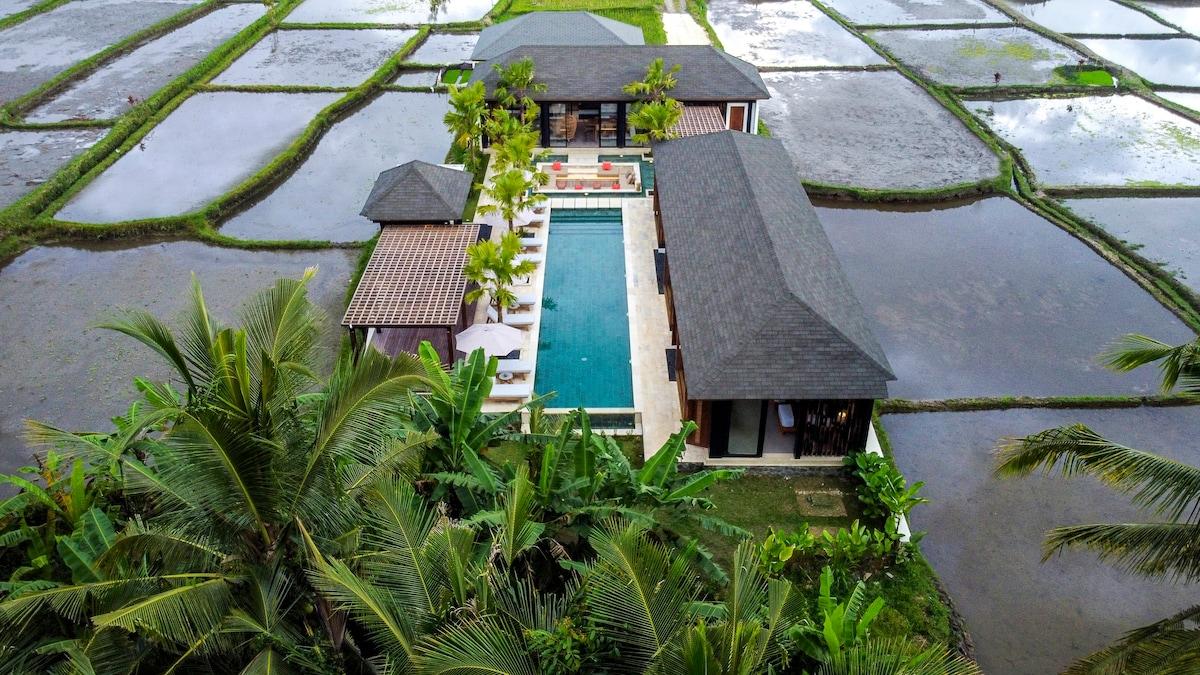 Drone view of the villa’s front and rice field panorama 