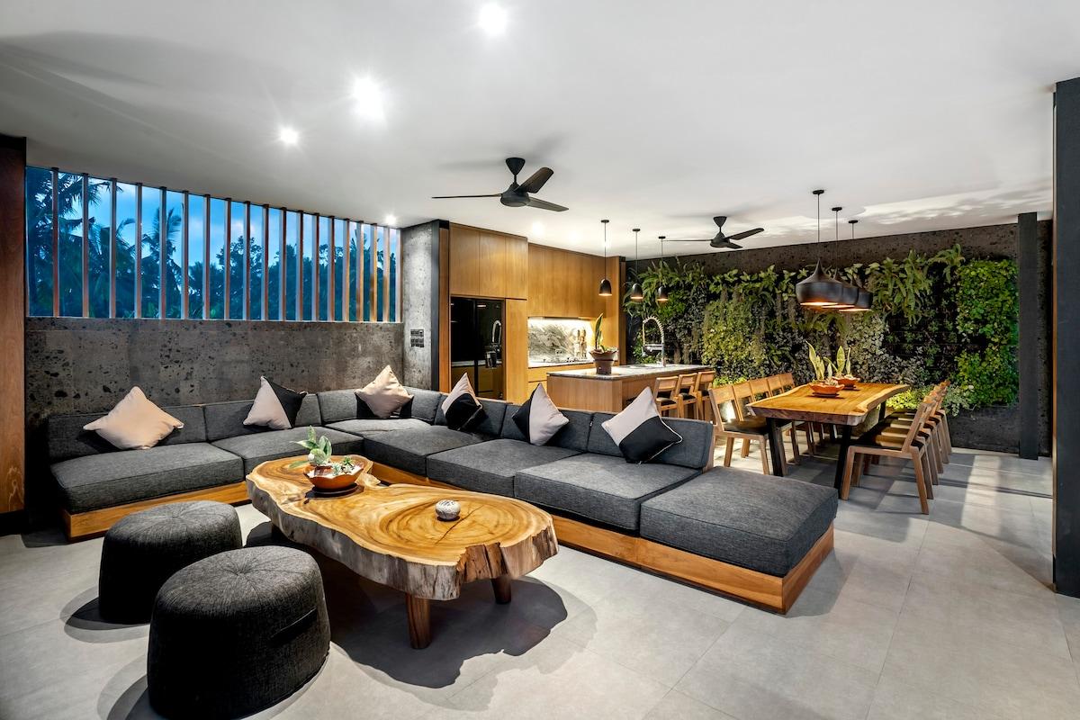 Modern illuminated living area 