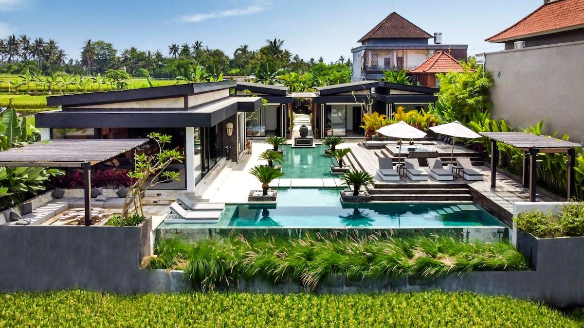 View of the villa and pool from the natural surroundings 