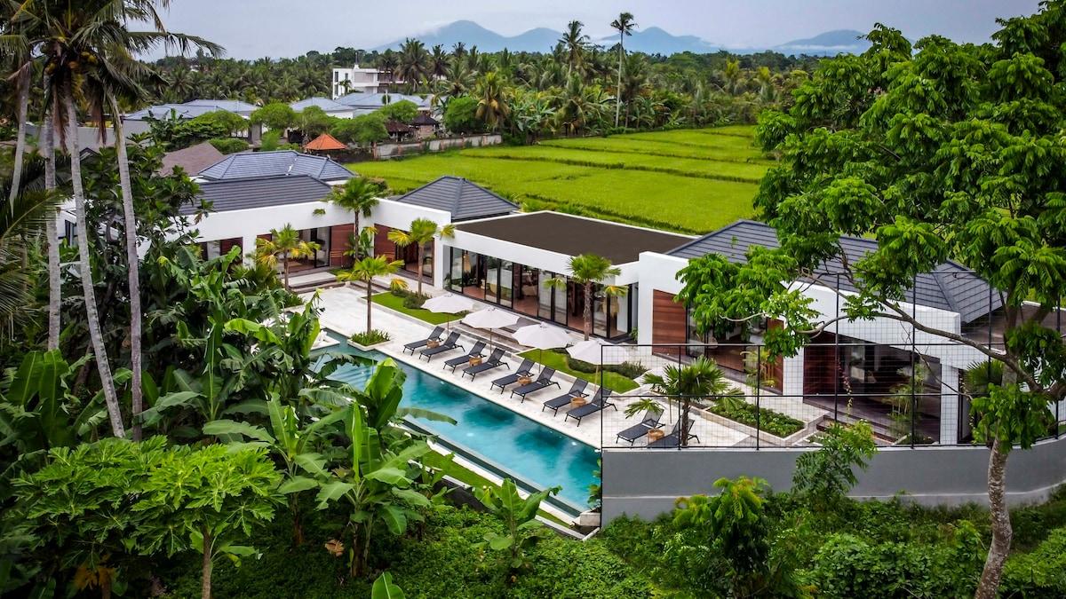 Drone view of the villa’s front