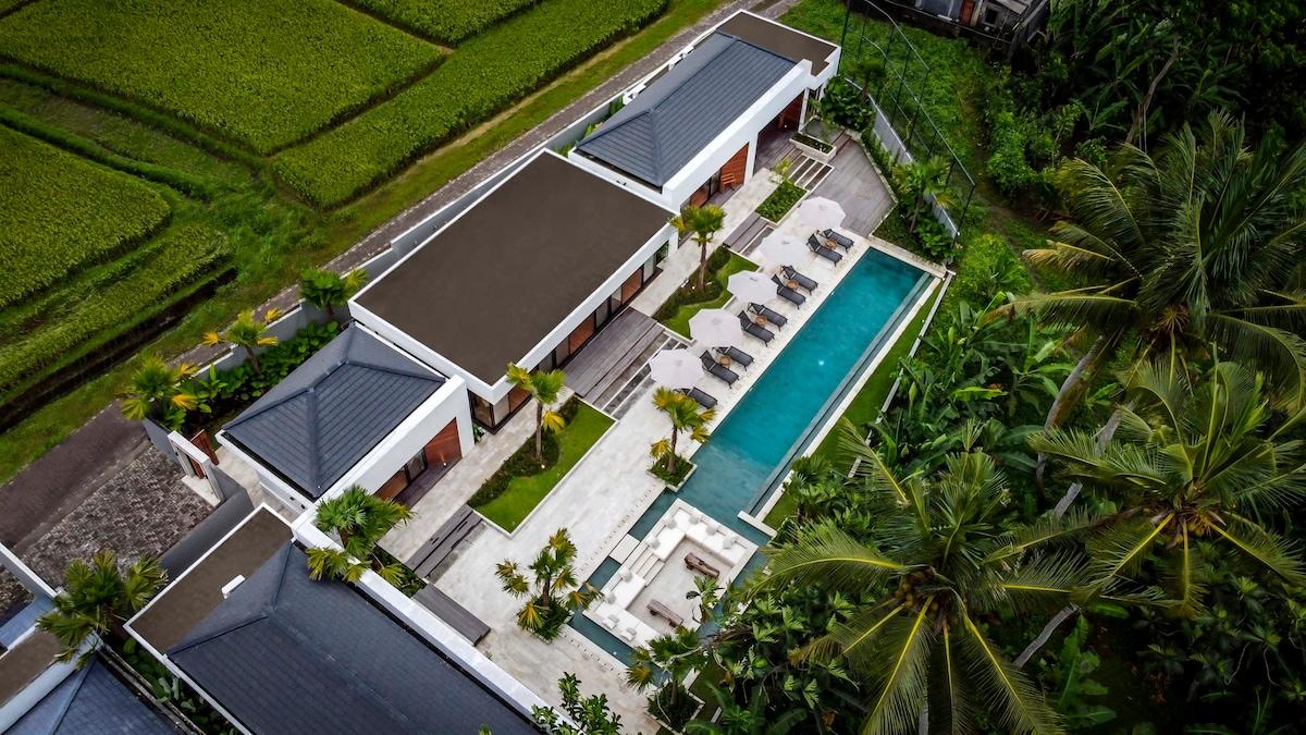 Drone view of the villa and its natural surroundings 