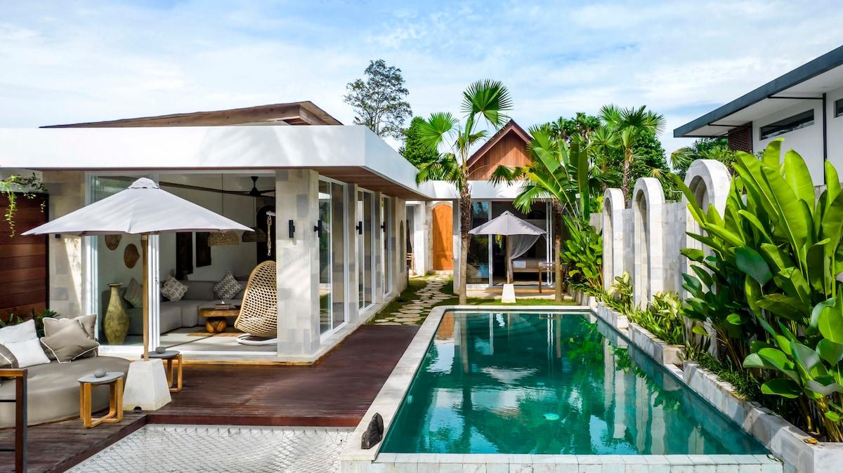 Front view of the villa and its wide pool