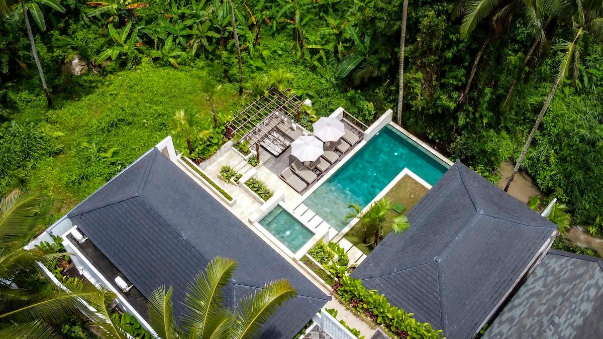 Drone view of the property and its natural surroundings 