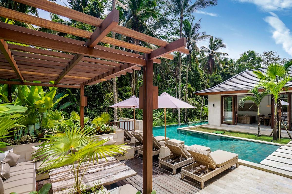 Overview of the pool and outside lounging area